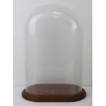 A glass dome on wooden base, base measuring 31 x 19cm. All standing 42.5cm high.
