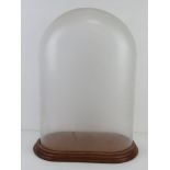 A glass dome on wooden base, base measuring 36 x 21cm. All standing 46.5cm high.