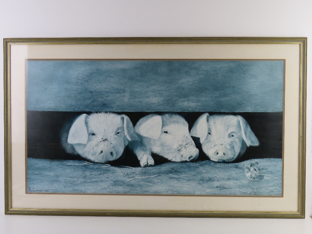 Print of three piglets; sight size 79 x 41cm. Framed and mounted overall 93 x 55.5cm.