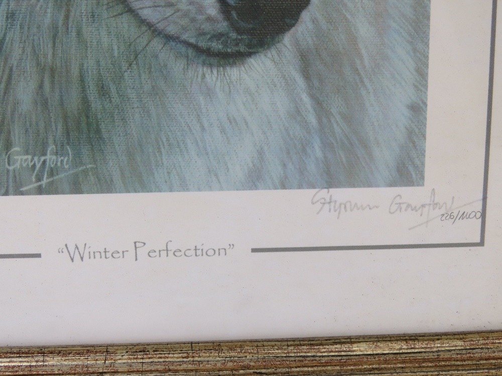 A pair of signed limited edition prints being Wolf 'Winter Perfection' and Snow Leopard 'Elusive', - Image 4 of 5