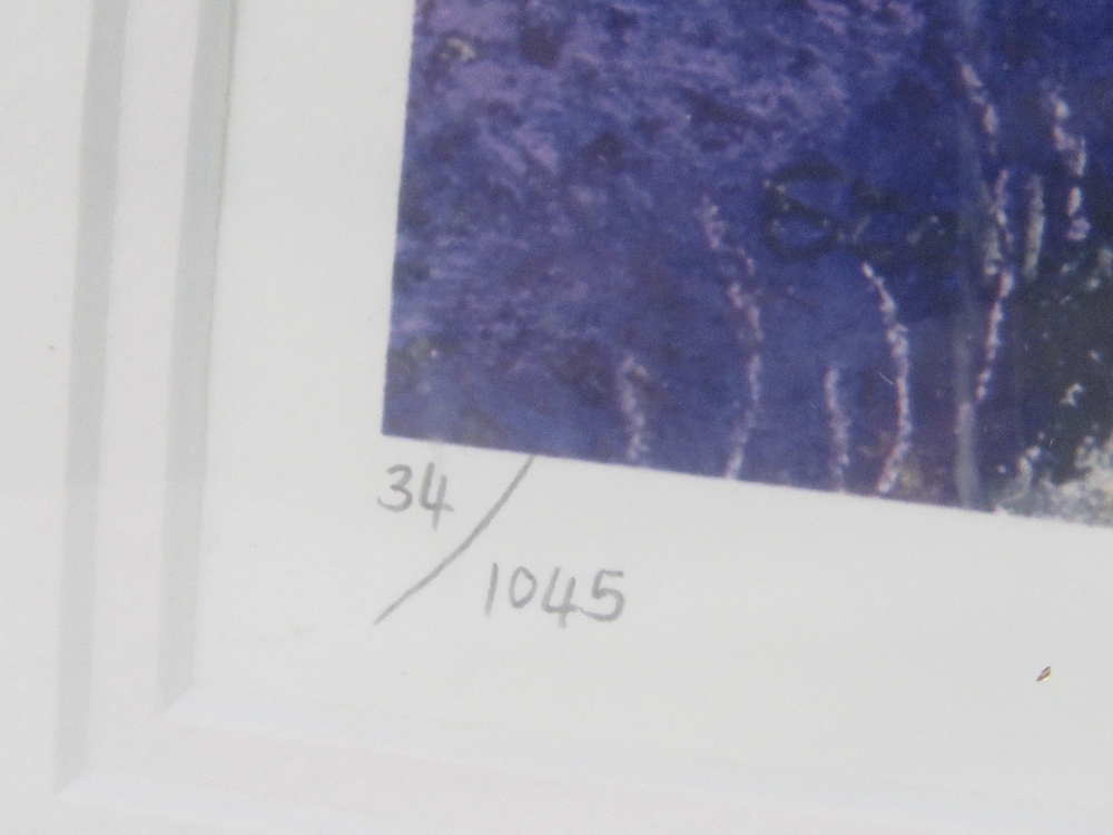 Limited edition signed print 'The Lavender's Grower's Farm' by Stella Parslow 34/145 with - Image 3 of 4