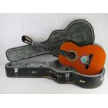 A Messina acoustic guitar, in TGI case.