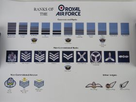 Three posters of the Ranks of Services.