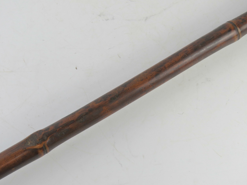 A late 19th century bamboo spear having triform steel tip, matching steel ferule, 250cm (8ft 3"). - Image 3 of 4