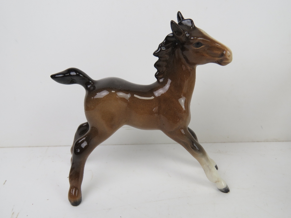 A Beswick figuring of a foal together with a ceramic figurine of a dog marked England and number 18 - Image 6 of 7
