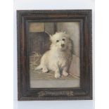 A carved oak frame 'Innocence' containing a print of a small white dog, sight size 19 x 24.