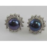 A pair of black coloured pearl stud earrings with CZ stones surrounding each pearl,