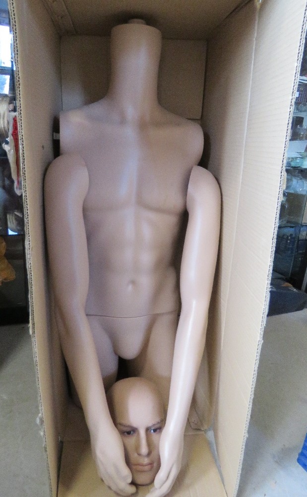 A male mannequin being torso, head and arms.