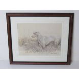 A signed limited edition print of a pastel by Jill Evans entitled 'Weimaraner' No 644/850 having