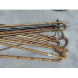 A QUANTITY OF VARIOUS VINTAGE WALKING STICKS.