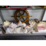 A COLLECTION OF VARIOUS SEA SHELLS,SHIPS WHEEL, MODEL BOAT ETC.