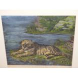 AFTER GEORGE STUBBS. AN ANTIQUE COLOURED ENGRAVING OF A TIGER. 49 x 58cms