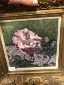 CHRISTOPHER SANDERS (1905-1991) ARR. PINK ROSE SIGNED OIL ON CANVAS, GALLERY LABEL VERSO. 26x26cms