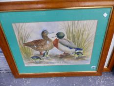 NAIEVE SCHOOL "THE MALLARD FAMILY" WATERCOLOUR 35 x 52cms TOGETHER WITH TWO OTHER DECORATIVE PICTURE