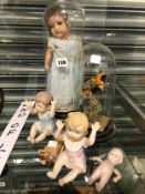 AN ARMAND MARSEILLE 390 DOLL UNDER GLASS DOME, FOUR PIANO BABIES AND A TAXIDERMY BIRD UNDER DOME