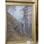DAVID HEWITT 20th CENTURY A WOODLAND VIEW SIGNED OIL ON BOARD 35 x 26cms.
