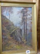 DAVID HEWITT 20th CENTURY A WOODLAND VIEW SIGNED OIL ON BOARD 35 x 26cms.