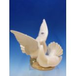 A LLADRO GROUP OF TWO WHITE DOVES