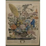 A HAND COLOURED PRINT TITLED AUGUST AND DEPICTING A FLOWERS ENGRAVED BY FLETCHER. 42 x 32cms.