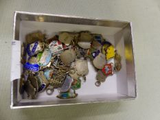 VARIOUS SILVER AND ENAMEL TOWN CHARMS.