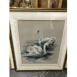 MOORE CONTEMPORARY SCHOOL ARR. TWO SWANS SIGNED WATERCOLOUR 60 x 50cms
