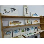 16 HAND PAINTED ON WOOD PANELS, MARINE LIFE, ALL SIGNED TODD?