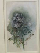 BOOKS: FRANCES BARDWELL, THE HERB-GARDEN, 1986 TOGETHER WITH AN ORIGINAL WATERCOLOUR TO THE