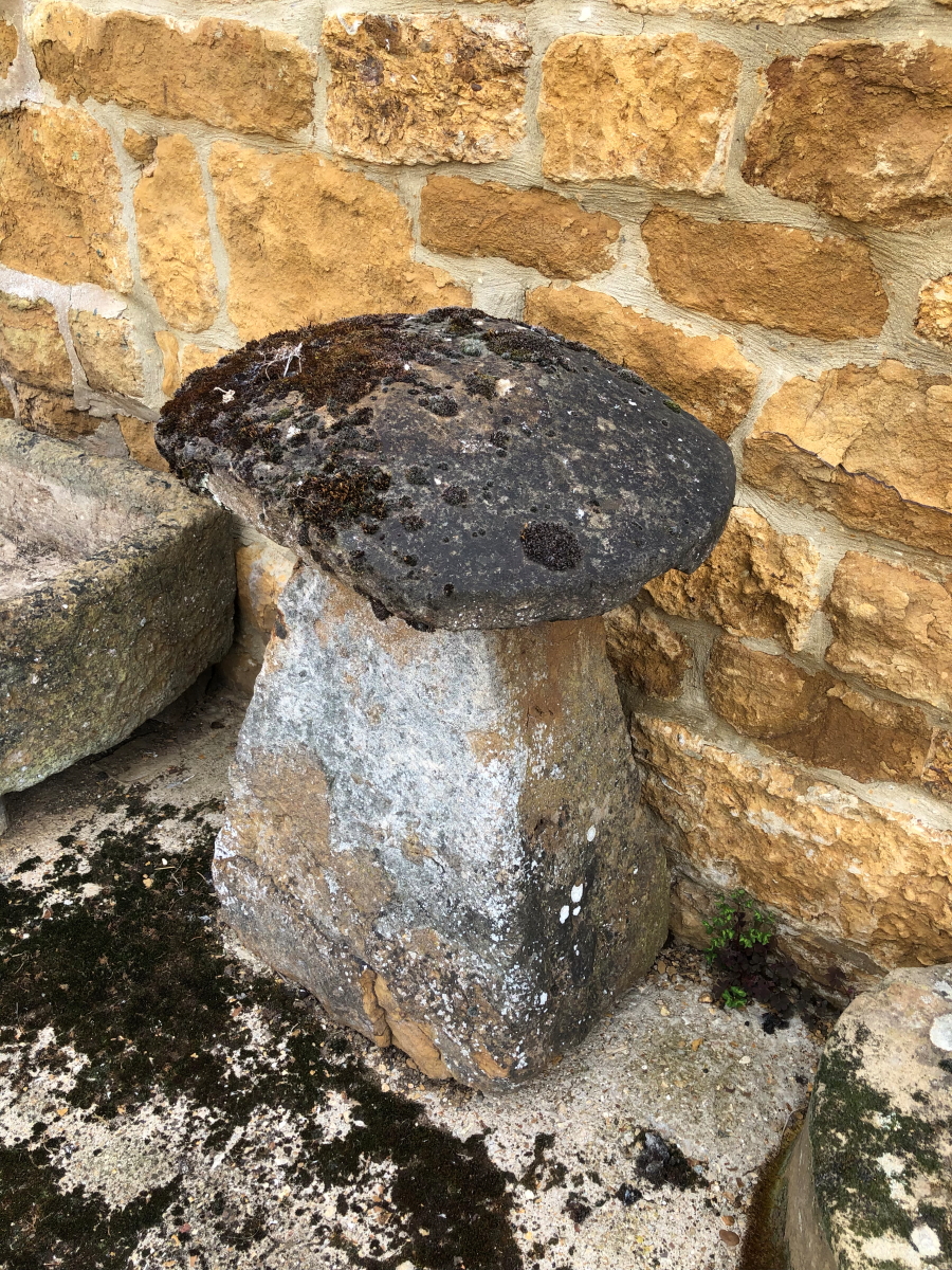 THREE STADDLE STONES, HEIGHTS 96, 81 AND 75cms, TOGETHER WITH A STONE BLOCK DIAMETER 49cms HEIGHT - Image 6 of 6