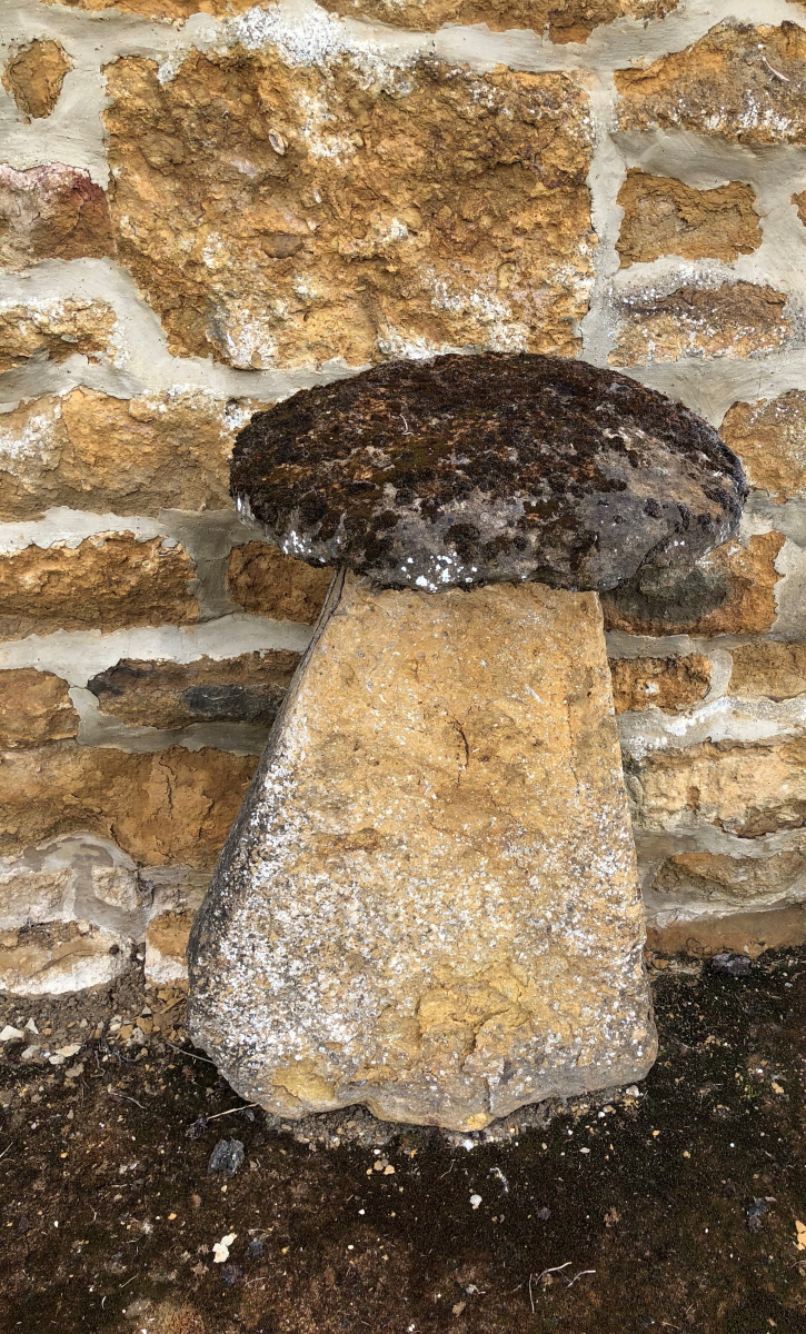 THREE STADDLE STONES, HEIGHTS 96, 81 AND 75cms, TOGETHER WITH A STONE BLOCK DIAMETER 49cms HEIGHT - Image 2 of 6
