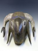 A LATE 19th C. NIGERIAN DANCE FOR HOLIDAY MASK CARVED AS A RAMS HEAD, WITH BLUE CURLS OF HAIR ON THE