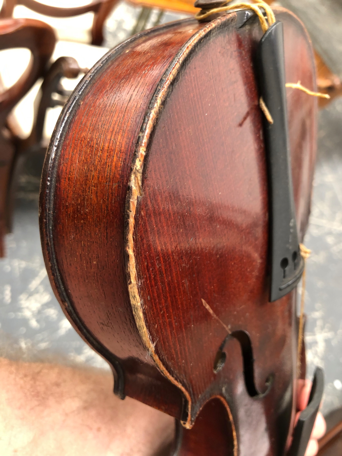 A CASED VIOLIN LABELLED MEDIO FINO, THE BACK. 33cms. - Image 12 of 13