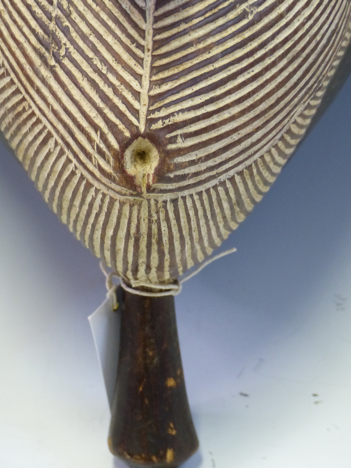 AN EARLY 20th C. SENUFO BAOBAB ZEBRA SUN DANCE MASK, THE HAND HELD MASK GOUGED OVERALL WITH WHITENED - Image 3 of 7