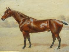 FRANK PATON (1855-1909) PORTRAIT OF A HORSE NAMED WATERFORD, SIGNED, WATERCOLOUR. 36 x 46cms