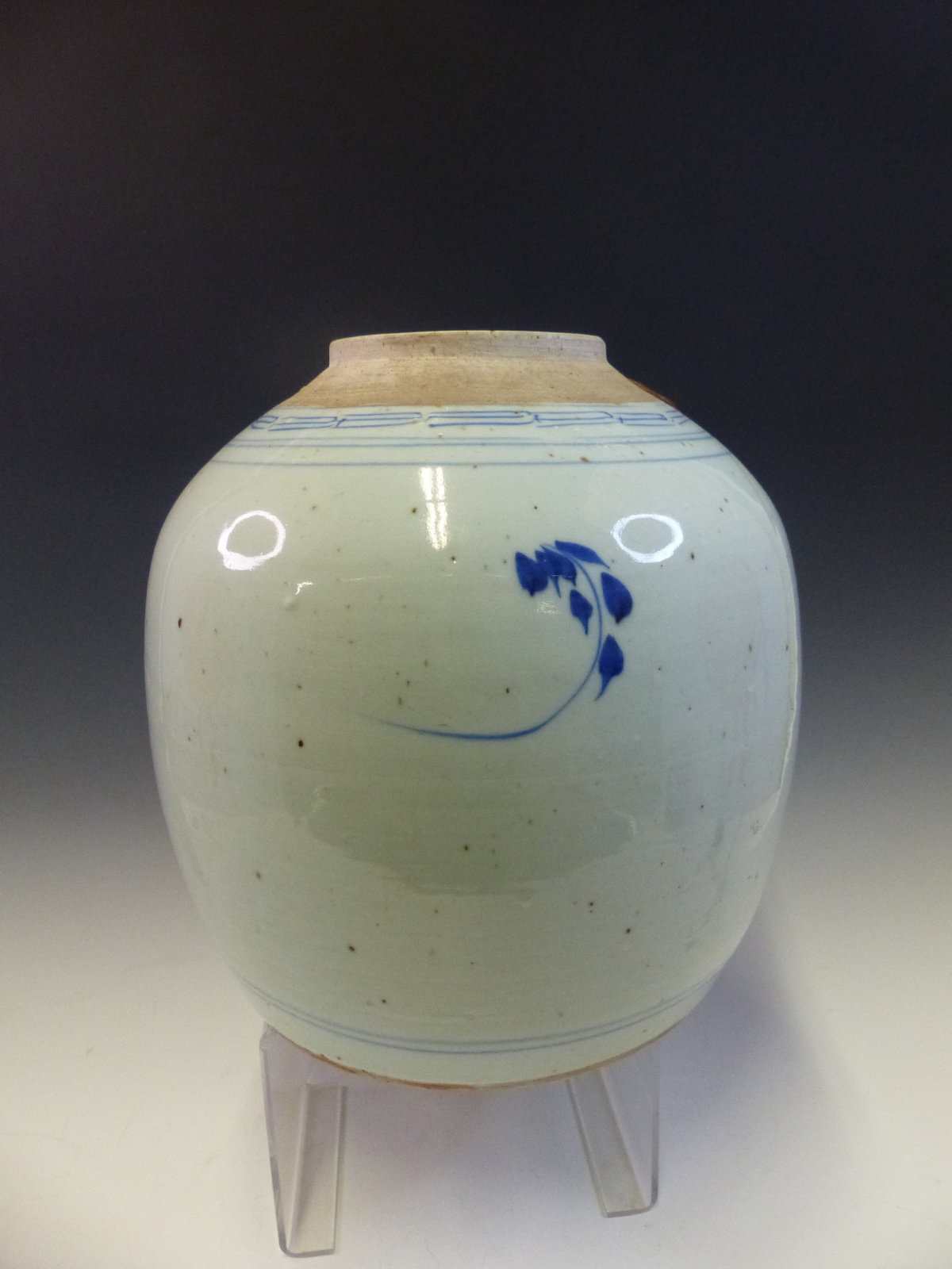 A CHINESE BLUE AND WHITE JAR PAINTED WITH PEONIES GROWING AMONGST ROCKS. Dia. 23cms. - Image 5 of 5