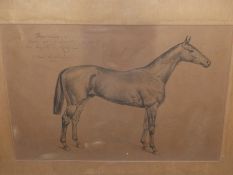 BASIL NIGHTINGALE (1864-1940) TWO HORSE PORTRAITS, SIGNED AND INSCRIBED, PENCIL DRAWINGS. 30 x 42cms