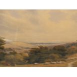 WILLIAM TURNER OF OXFORD (1789-1862) KINGLY VALE NEAR CHICHESTER, SIGNED, WATERCOLOUR. 36 x 54cms