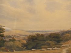 WILLIAM TURNER OF OXFORD (1789-1862) KINGLY VALE NEAR CHICHESTER, SIGNED, WATERCOLOUR. 36 x 54cms