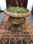 A 19th C. CAST IRON GARDEN URN WITH EGG AND DART RIM BAND ABOVE THE SOCLE AND SQUARE FOOT. Dia 48