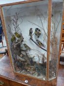GOLD FINCHES AND OTHER SONG BIRDS PRESERVED IN A CASE WITH A THREE PANELLED GLASS FRONT. W 63 x H