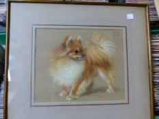 DONALD WOOD (1889-1953) A PEKINESE, SIGNED AND DATED 1931 PASTEL 22.5 x 27.5cms