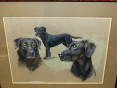 A. RAYNER (20th/21st C.) ARR. PORTRAIT OF THREE BLACK LABRADORS, SIGNED, PASTEL. 39 x 54cms