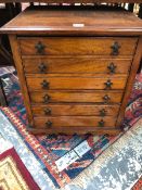 A 19th C. TEAK COLLECTORS CHEST OF SIX DRAWERS ABOVE A WAVY APRON. W 45 x D 39 x H 51cms.