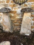 A PAIR OF STADDLE STONES HEIGHT 112cms, THE TOPS 47cms. VIEWING FOR THIS ITEM IS BY APPOINTMENT ONLY