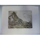 OROVIDA PISSARO (1893-1968) ARR. TIGER AND PYTHON, PENCIL SIGNED ETCHING. 18 x 25cms UNFRAMED