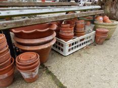 A COLLECTION OF TERRACOTTA PLANT POTS ETC