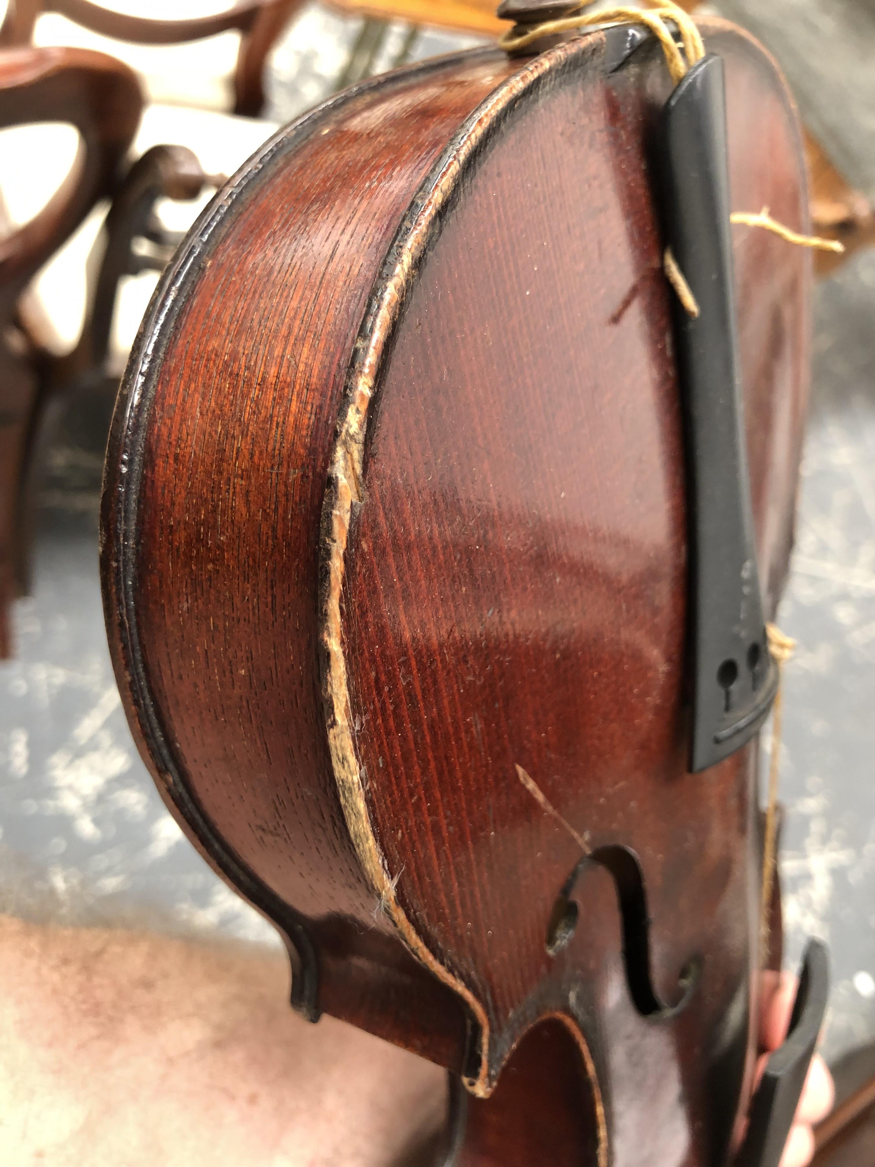 A CASED VIOLIN LABELLED MEDIO FINO, THE BACK. 33cms. - Image 5 of 13