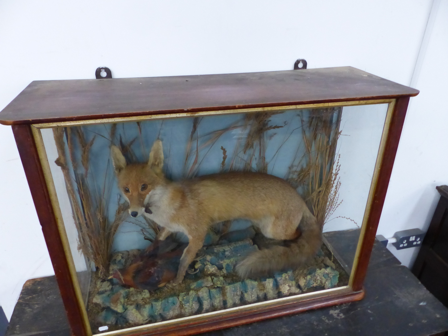 A WELL MOUNTED TAXIMERMY FOX IN MAHOGANY GLAZED CASE - Image 6 of 16