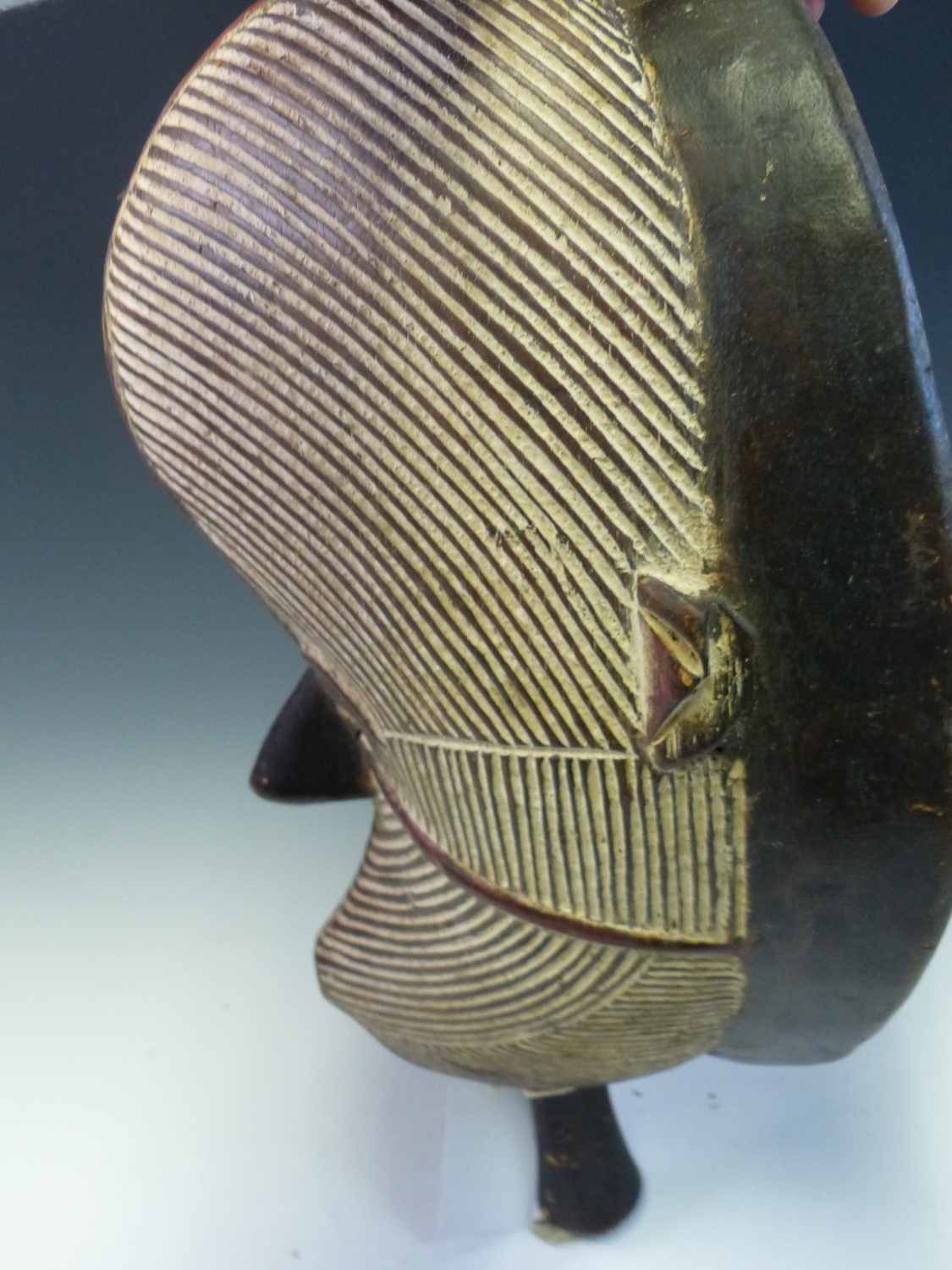 AN EARLY 20th C. SENUFO BAOBAB ZEBRA SUN DANCE MASK, THE HAND HELD MASK GOUGED OVERALL WITH WHITENED - Image 6 of 7