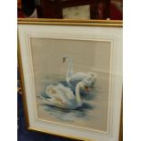 MOORE (20th/21st C.) TWO SWANS, SIGNED, GOUACHE. 60 x 50cms