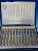AN EARLY 20TH CENTURY SET OF DESSERT CUTLERY FOR 12 PLACES SETTING BY VAN C.J. BEGEER (JEWELLERS AND